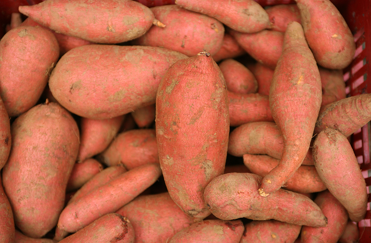 地瓜吃不完保存难?教你1个好办法,放半年不烂不长芽,越放越甜