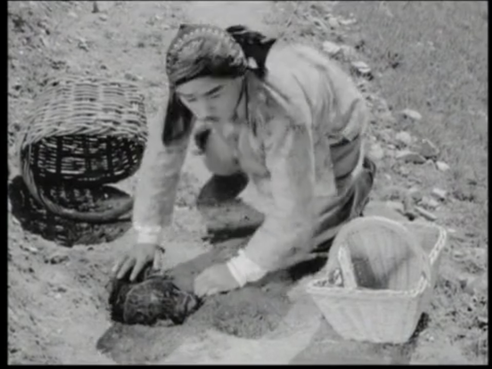 老电影《地雷战》中日军偷回去的地雷自动爆炸, 真的有那么神吗?
