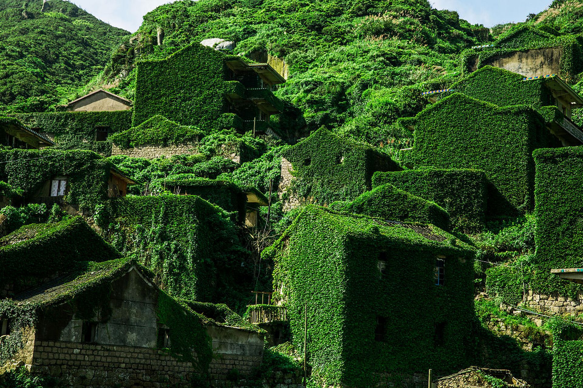 助我上热门#  99嵊泗无人村,一个绿野仙踪的迷离梦境~#国内文旅