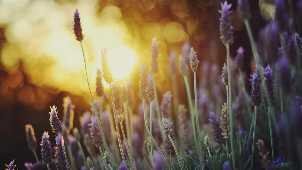 java程序员之路——磨练意志品质,成就编程技术