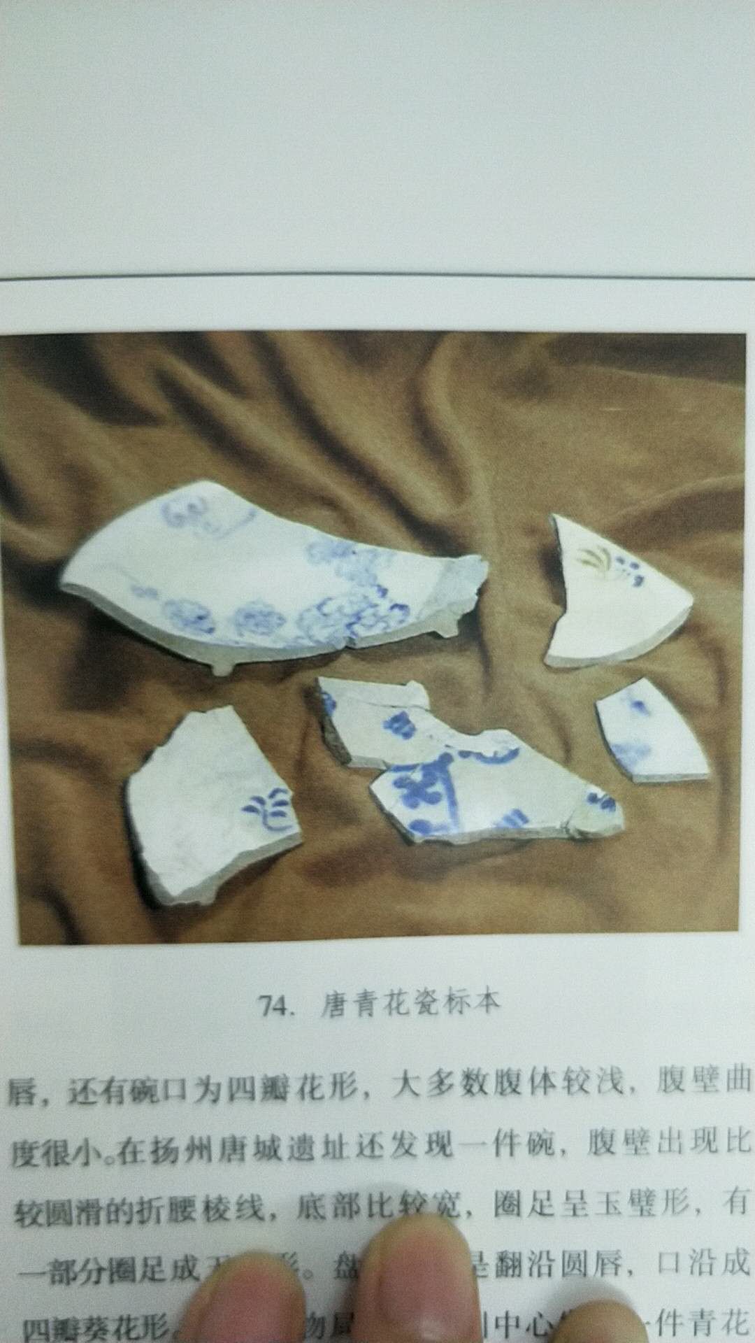 唐代青花瓷标本图片参考!