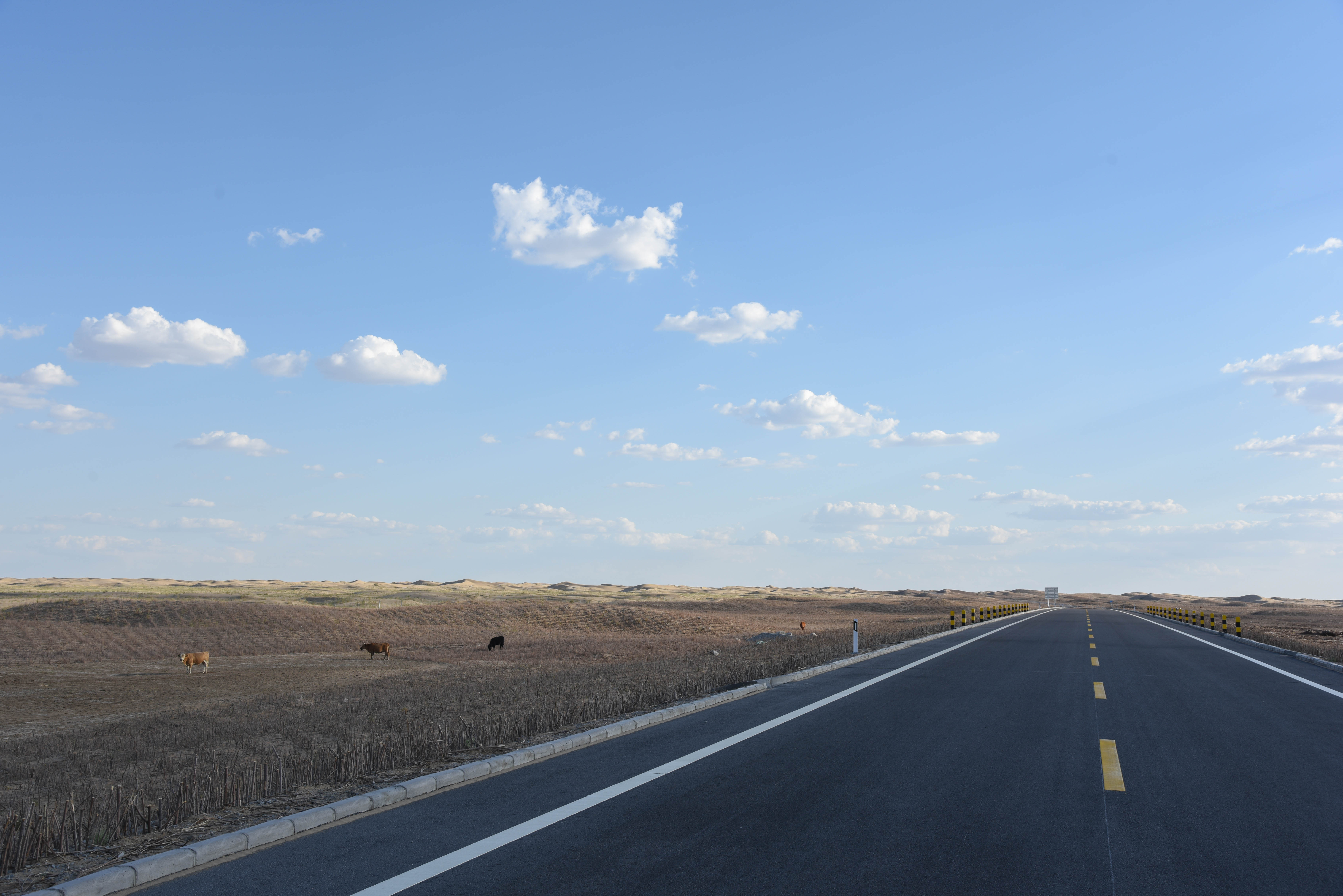 库布齐沙漠中的穿沙公路(1)