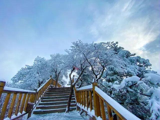 洛阳冬天最美的景区,雪后老君山景色美炸天