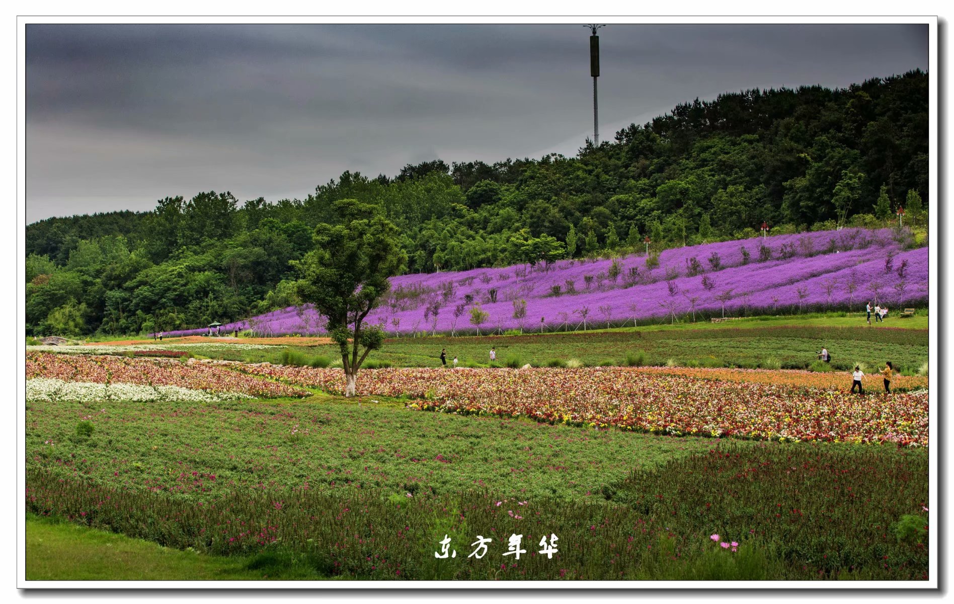 驴行宜昌——枝江东方年华田园综合体——东方花谷