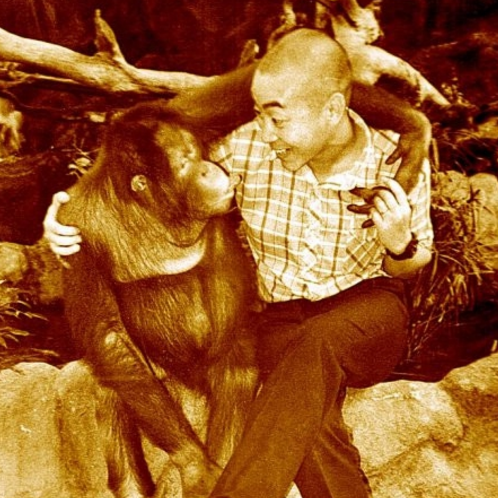 《西游记》幕后照:孙悟空搂着大猩猩,小猴子向他敬礼!