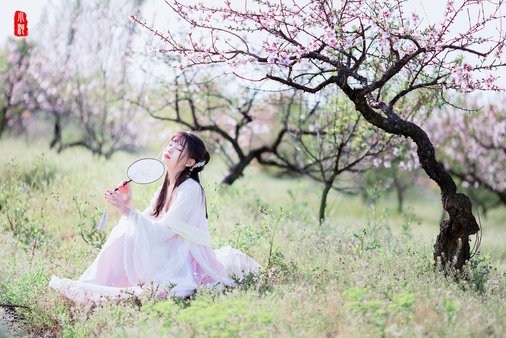 山西女孩桃花图片