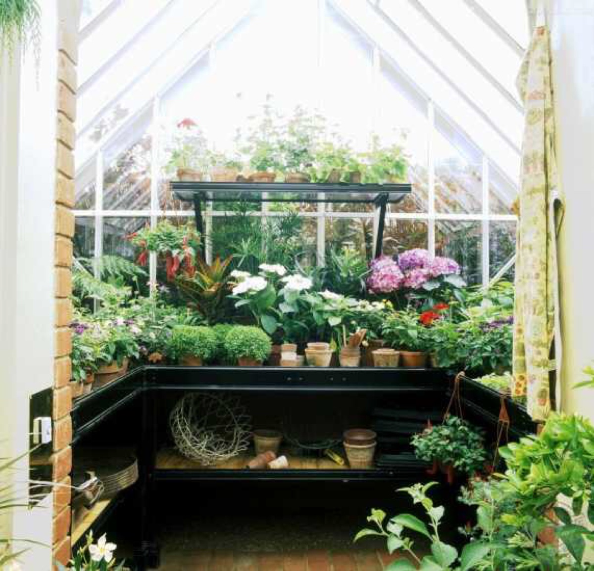 阳台有了它们,立马变成小花房,看书品茶两不耽误