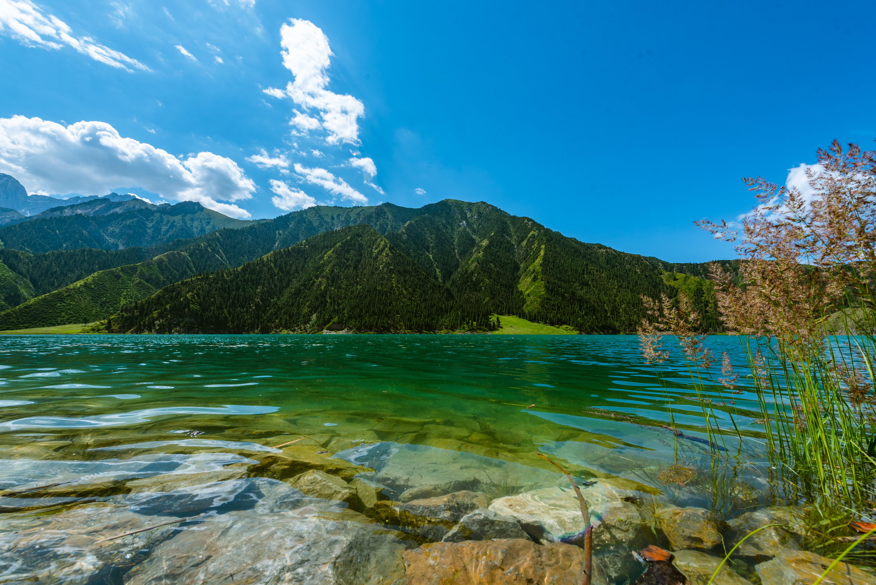 风光摄影:独库公路边的大龙池