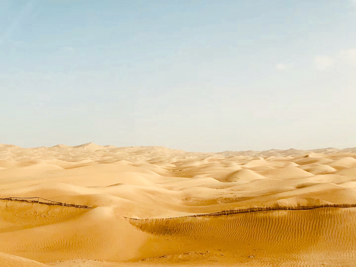 神秘而荒芜的流动沙丘