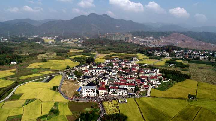 建德桂花村图片