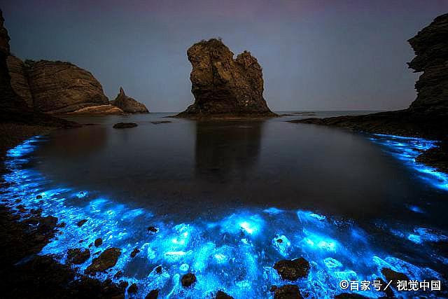 大连现蓝色梦幻"荧光海滩"奇观,媲美马尔代夫"荧光海滩"