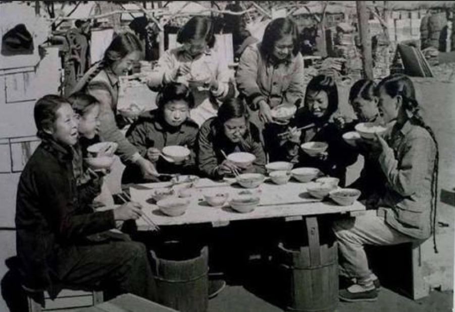 从苏联的集体农庄到中国的人民公社,为何农村集体化无法成功