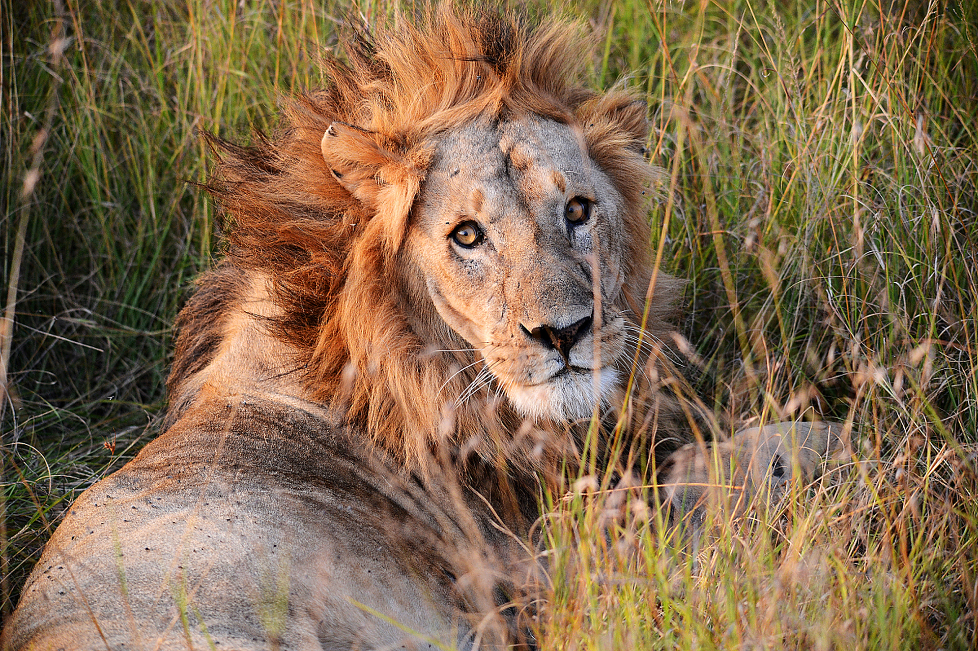 动物趣图# #乐享周末分享吧