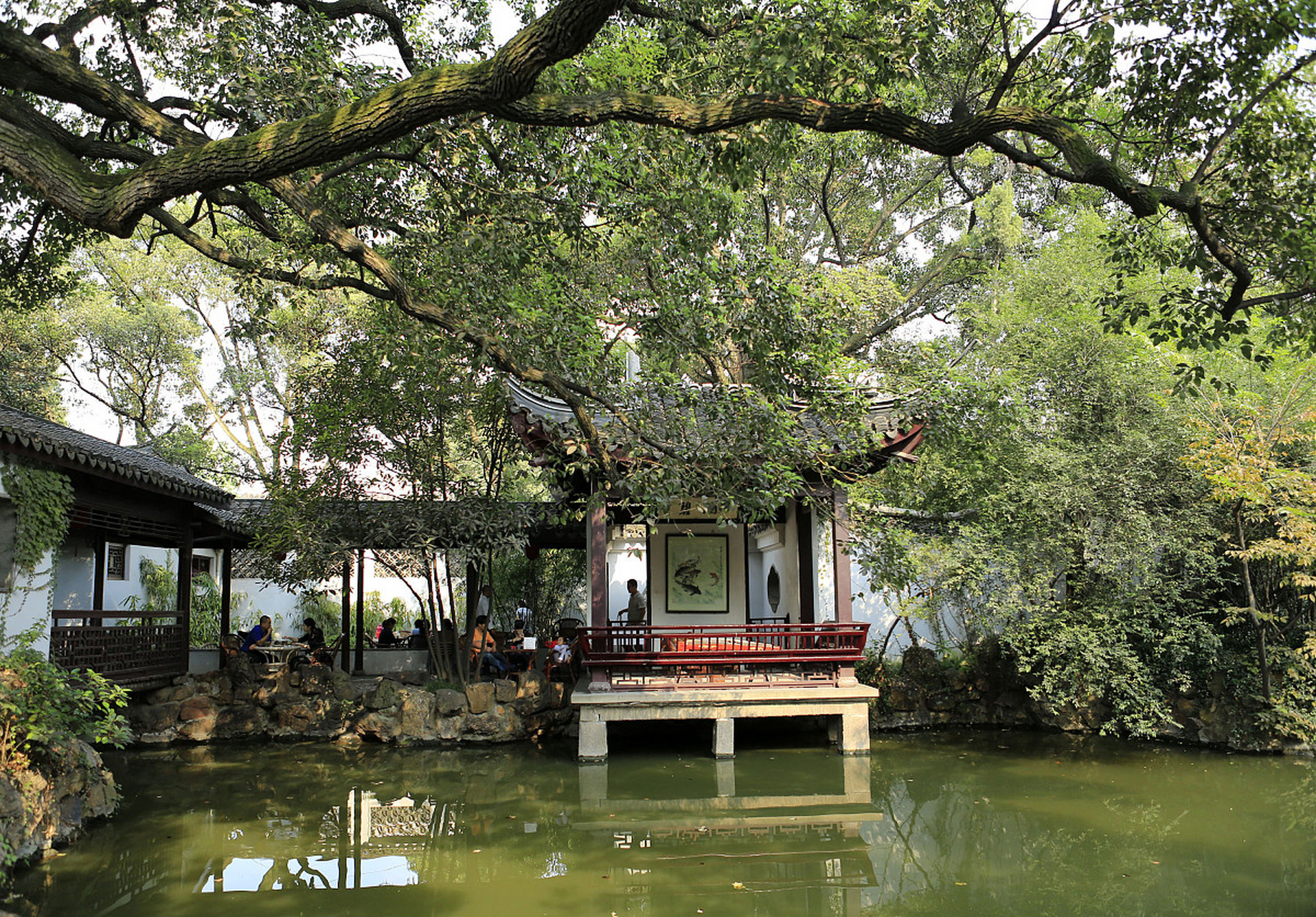 锡惠公园:五一赏杜鹃花 无锡锡惠公园是中国杜鹃基因库,内有300多个