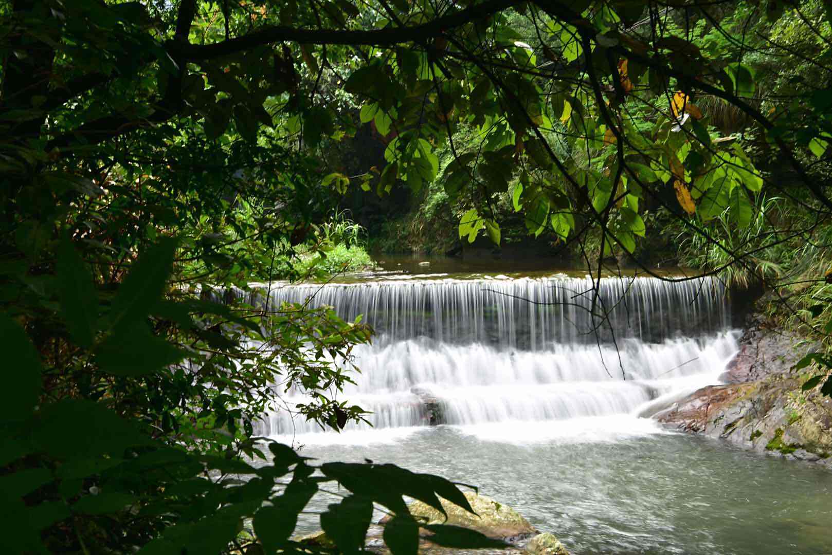 长在深闺无人识,四季常绿,溪水潺潺,福建南平溪源峡谷