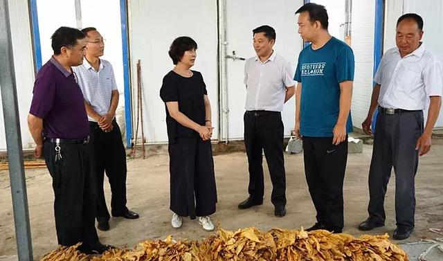 安康市人大常委会副主任马孝芳深入包联贫困村调研脱贫攻坚工作