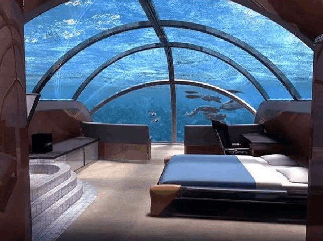 马尔代夫的海底酒店:一晚33万,睡觉的时候鲨鱼就在身边