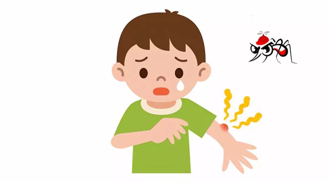 蚊子包止痒5大方法,到底哪招管用?