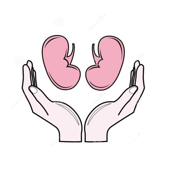 医生:我为什么建议你要做一个肾穿刺