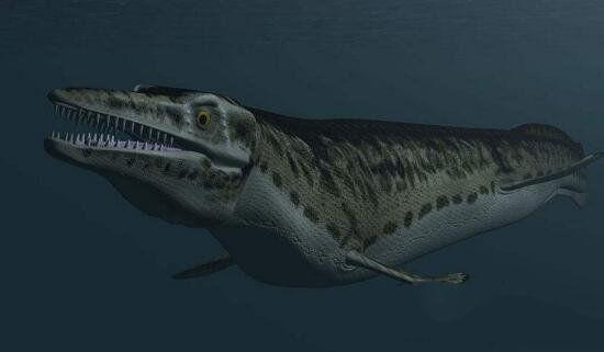 海王龙:远古海洋的致命猎手,以其他恐龙为食,几乎没有敌手