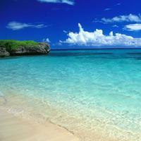 喜剧界新一代四大天王你认可吗?