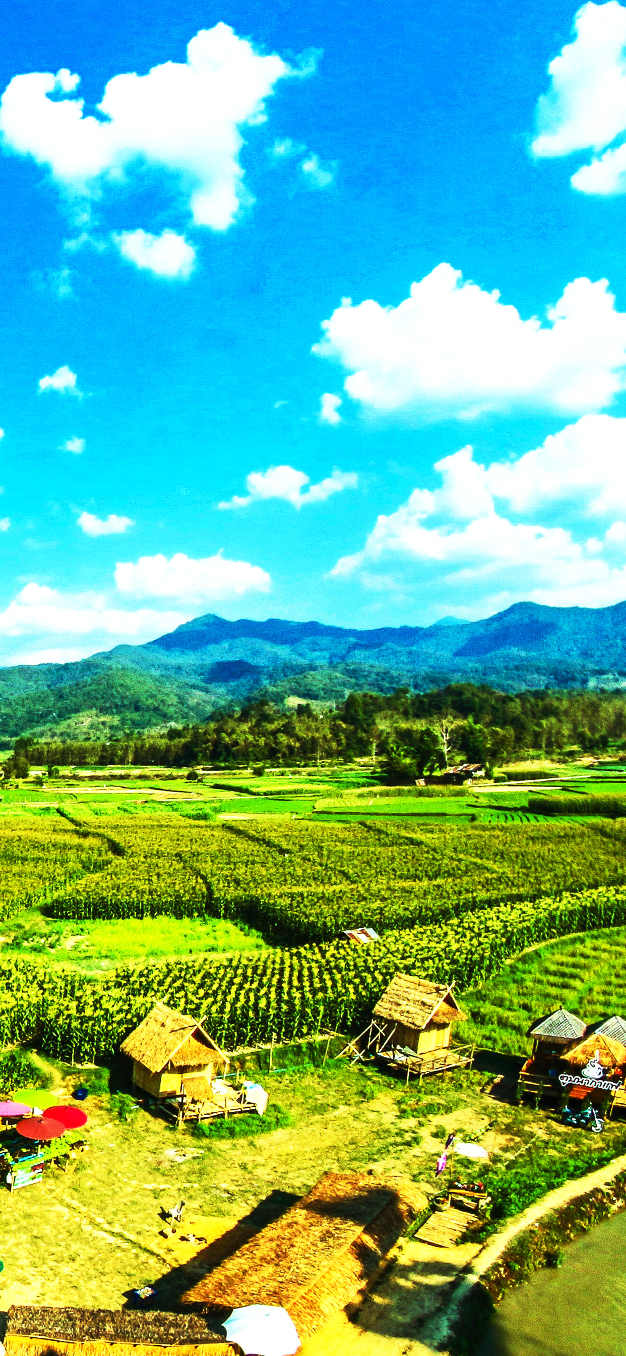 13张适合做iphone xs max壁纸的农田风光照