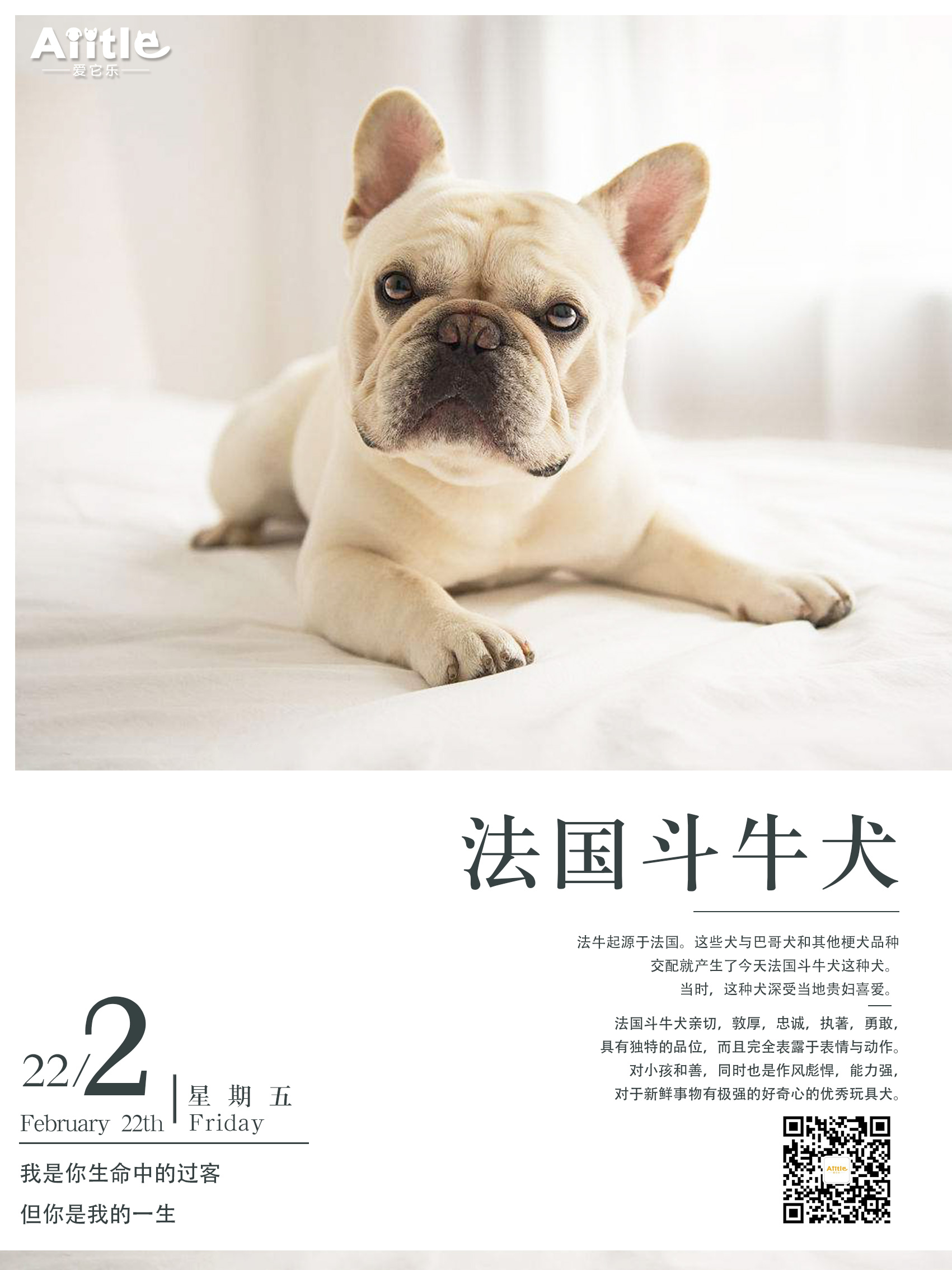 爱它乐日历—法国斗牛犬