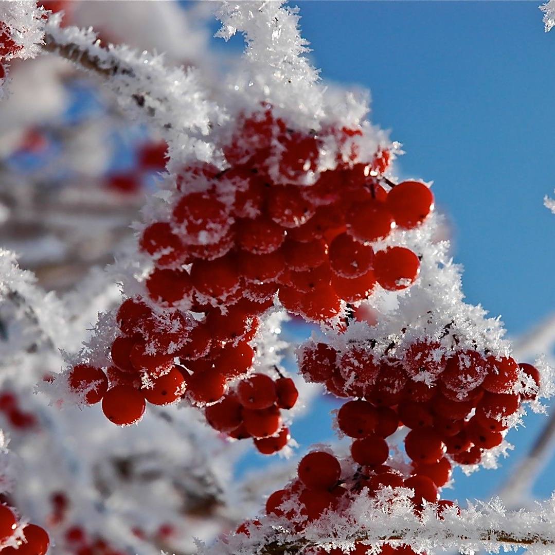 影评:《剑雨》武林高人的剑雨人生!