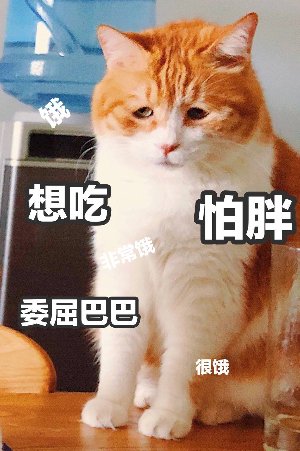 穷,胖,还丧,这就很让人头疼了.表情包:一次次失望后的冷静