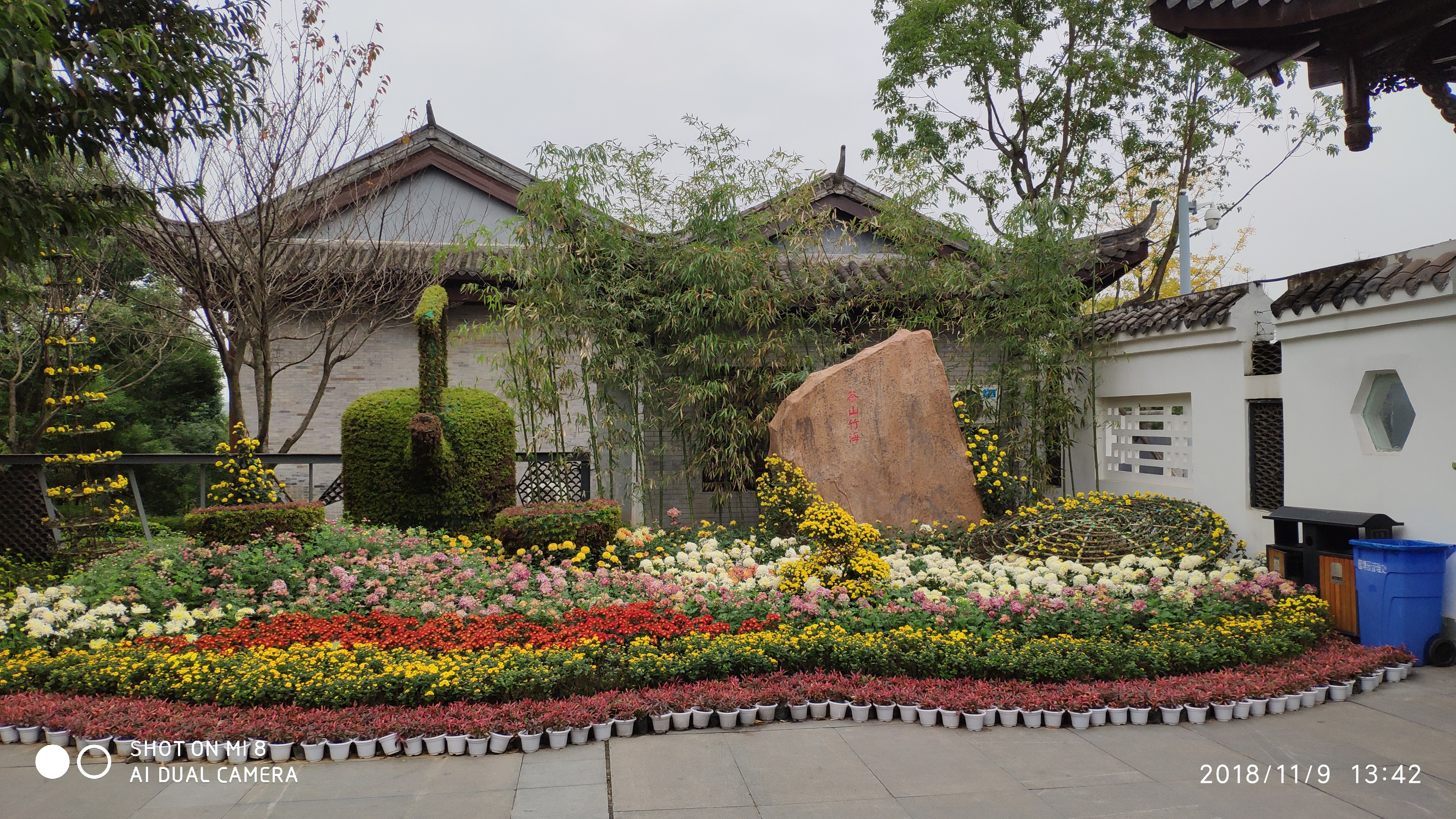 重庆市第二十二届菊花艺术展,东入口展区!