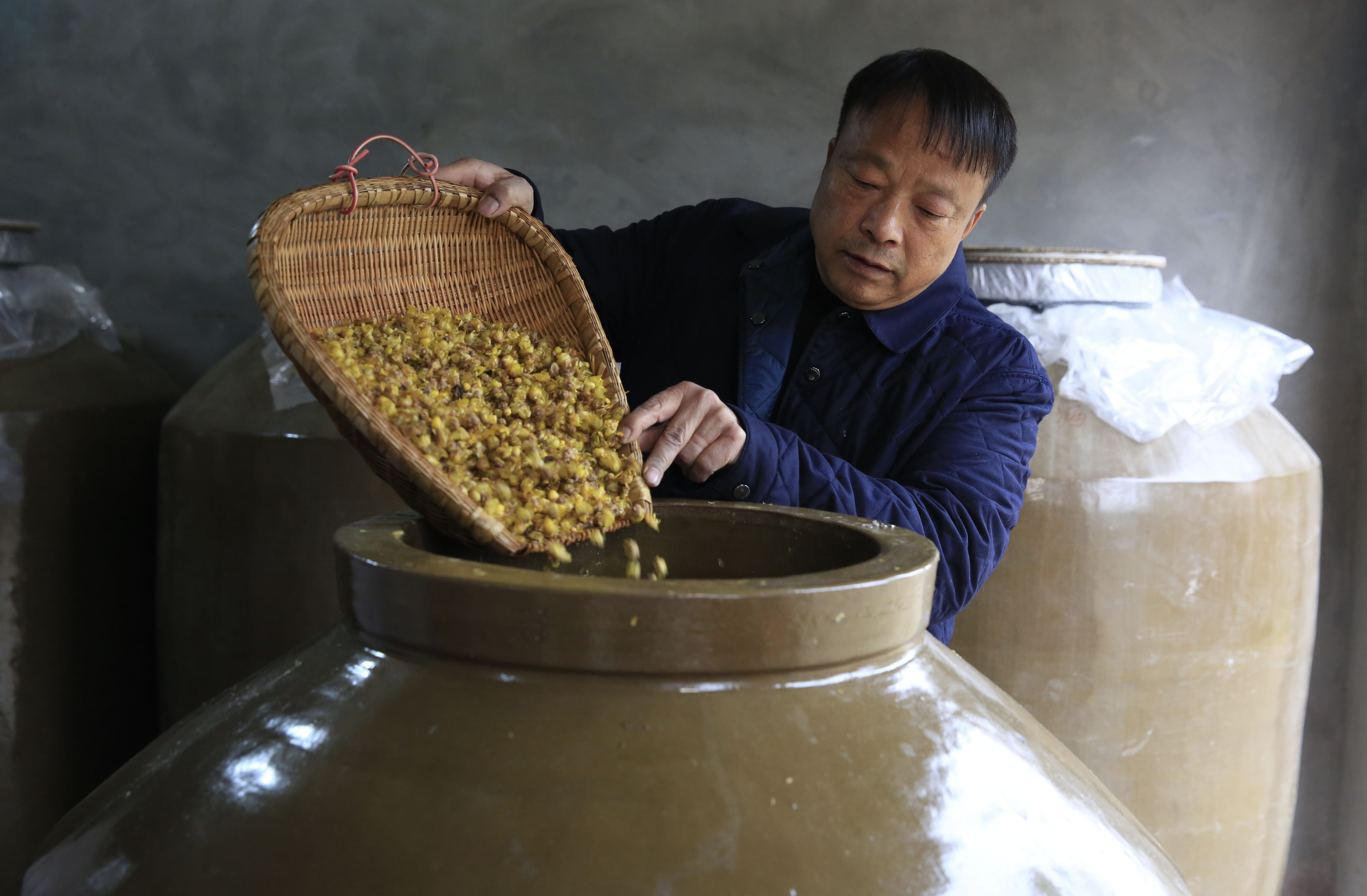 重庆北碚:"蜡梅花酒"飘香寒冬(2)