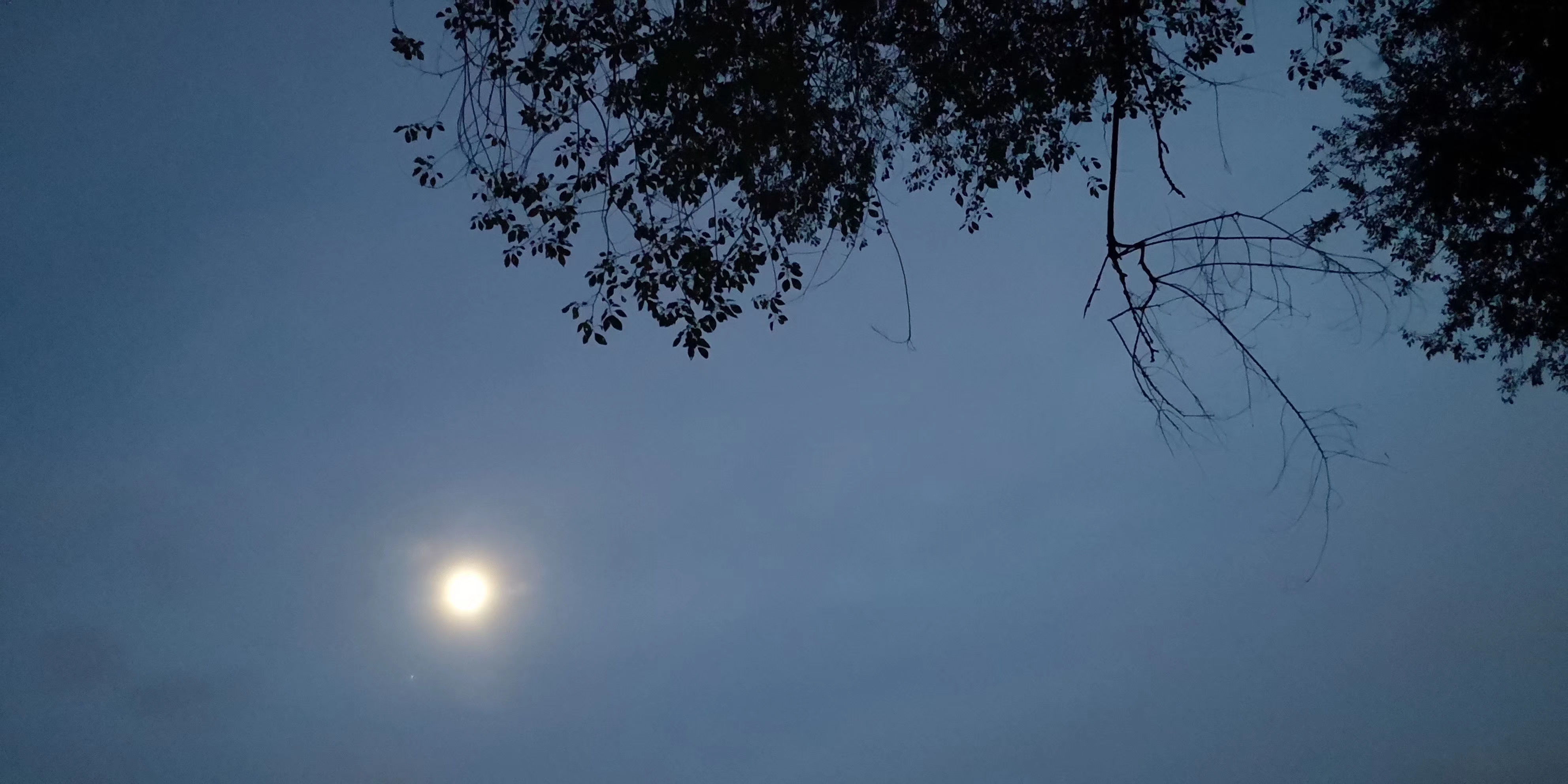 青龙湖:月影朦胧