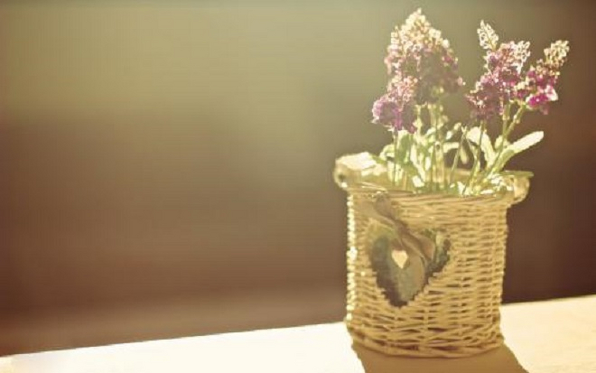 波娃在《越洋情书》里写道:我渴望能见你一面,但请你记得,我不会开口