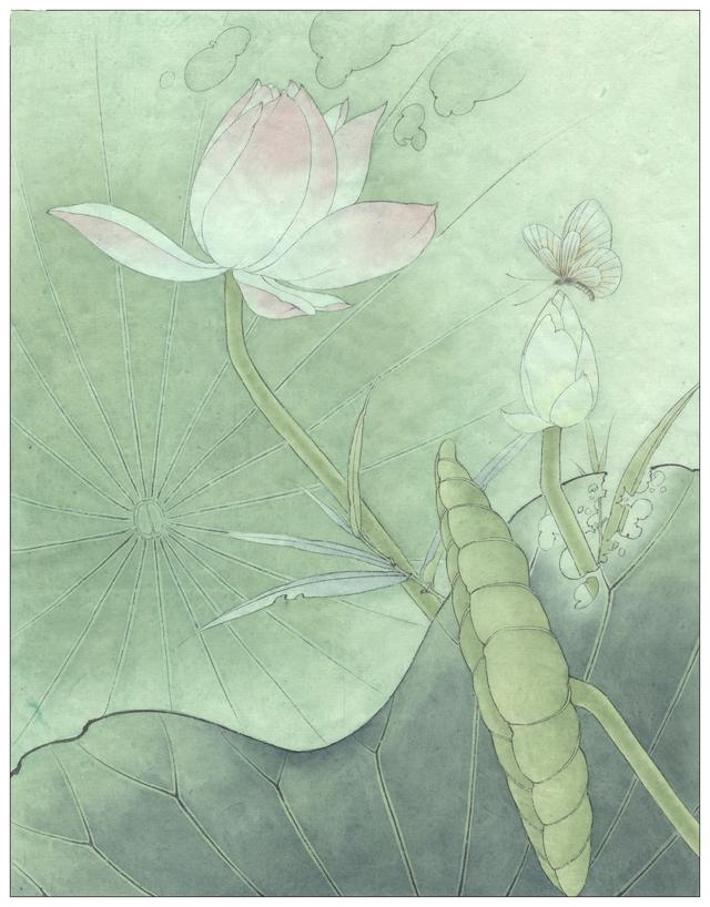 4幅工笔荷花白描染色步骤图,关注细节,注重写实!