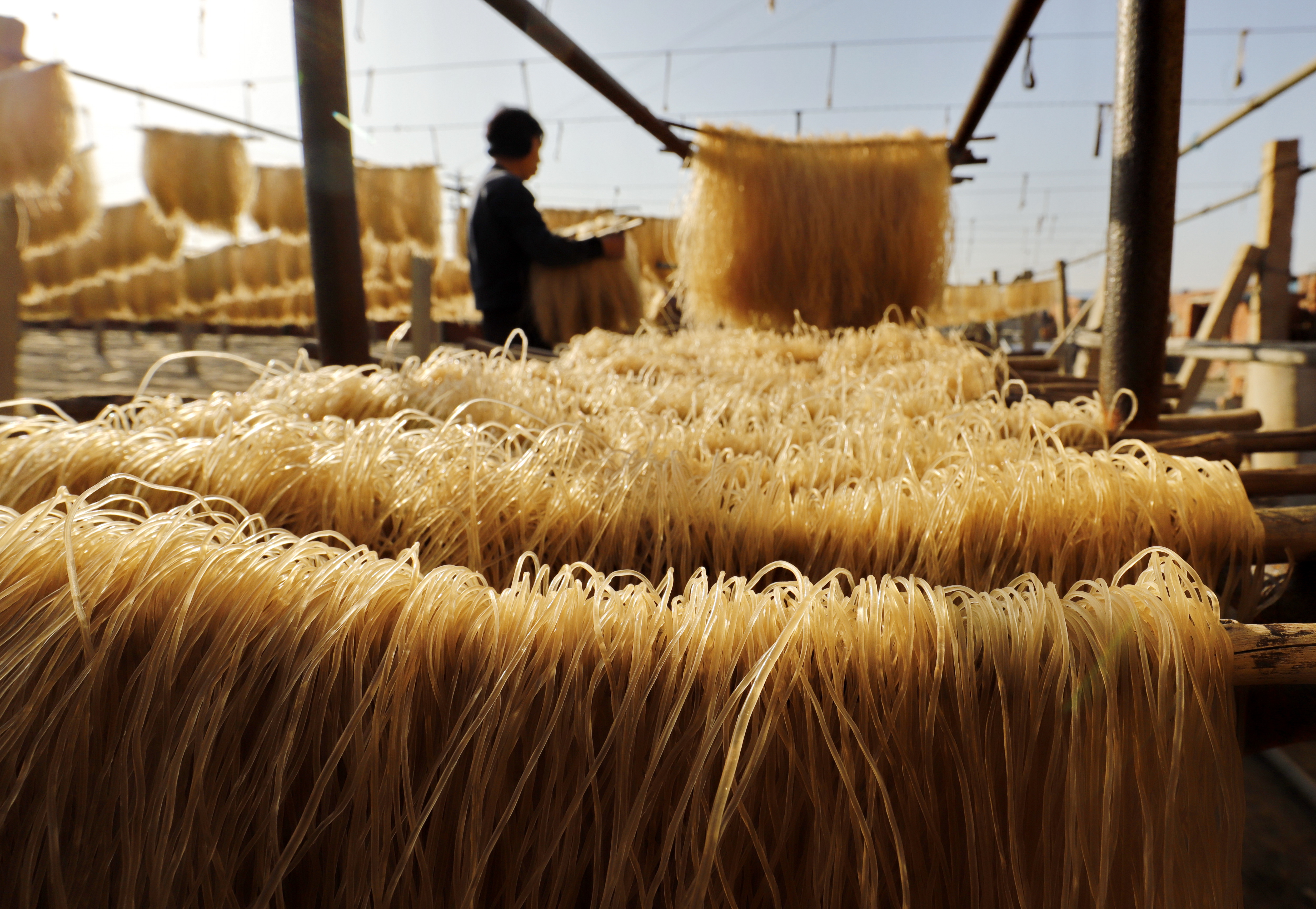 河北遵化:晒粉条 忙增收(2)
