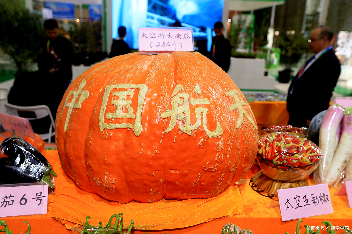 农民的种子也要上太空!跟着神舟上太空的种子 到底有啥不一样?