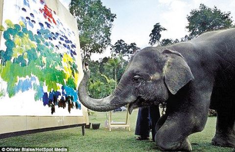 见过大象画画吗?泰国8只大象联合作画 还打破吉尼斯世界纪录