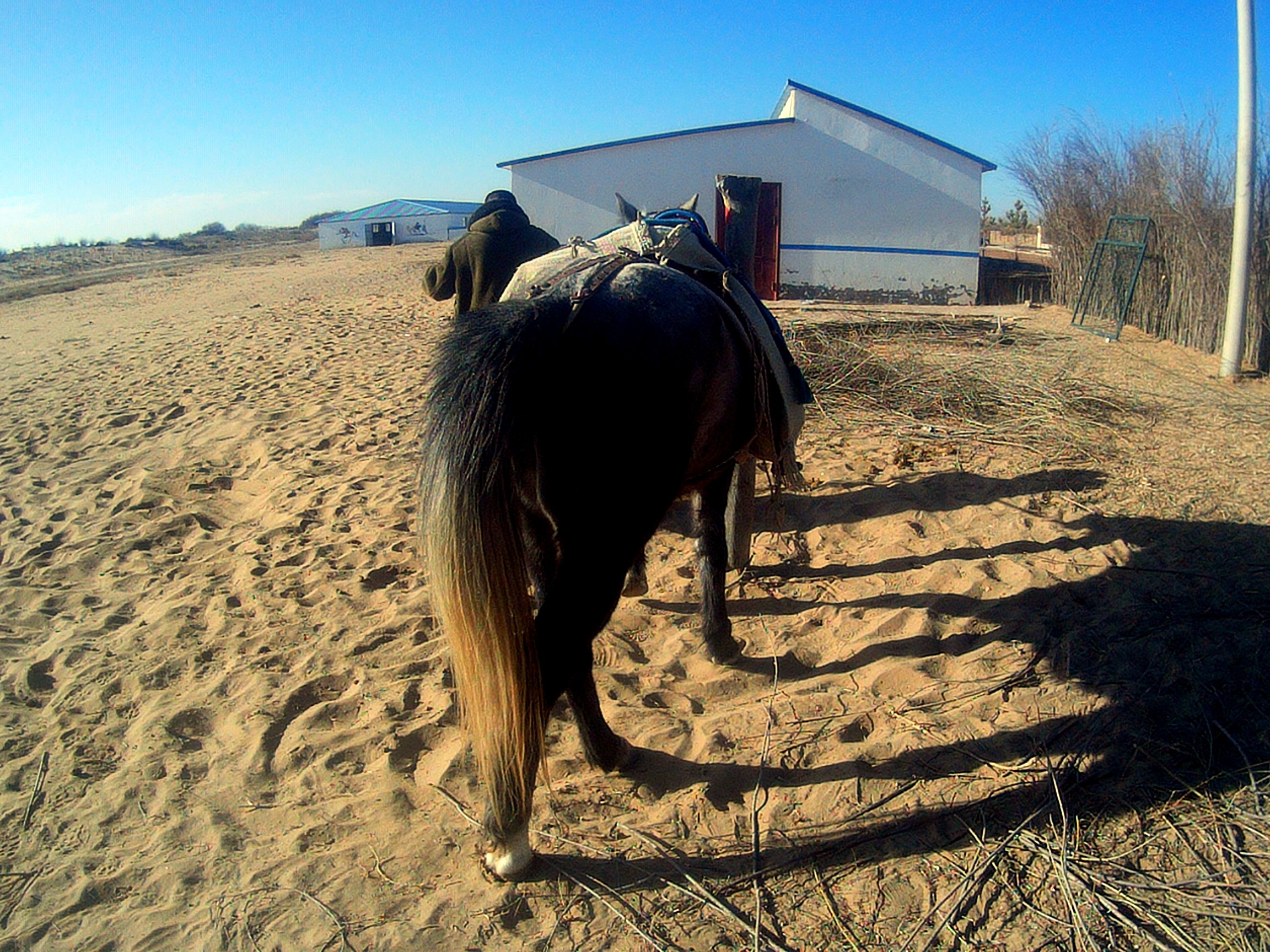 2019年开春后的乌审马文化博物馆外景