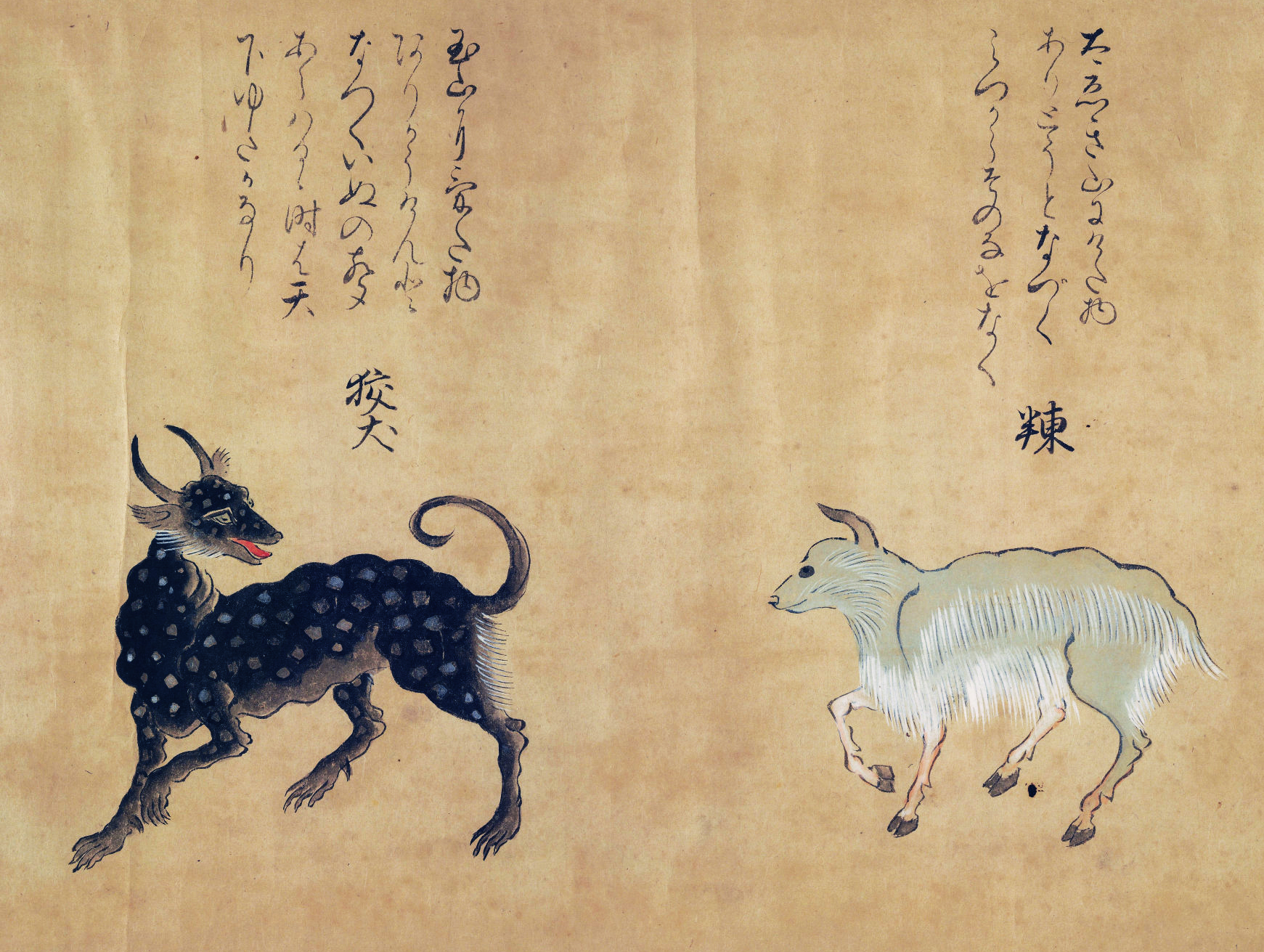 《山海经》鸟兽彩绘图卷!绘制于日本江户时期!成城图书馆珍藏!