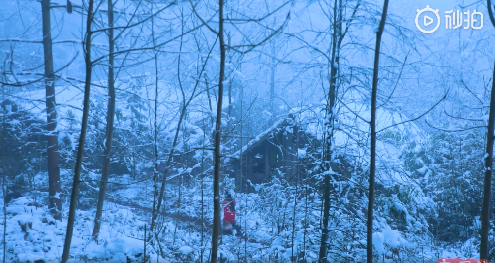 家住四川平武县,李子柒隐居山林,只为发扬古典美食
