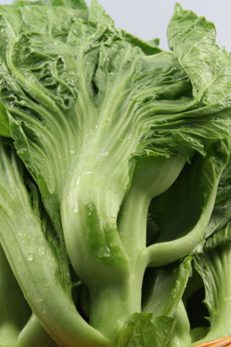 今天小编就来跟大家讲一下芥菜的营养成分和食用芥菜的功效