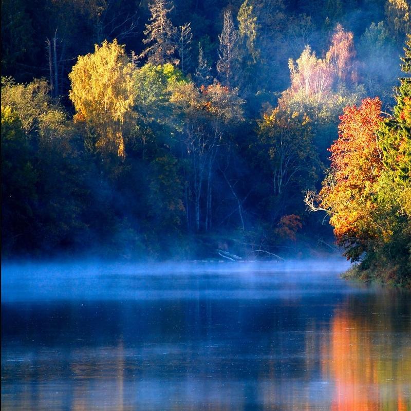 布兰特:冉冉升起的希望之星,德国足球的希望