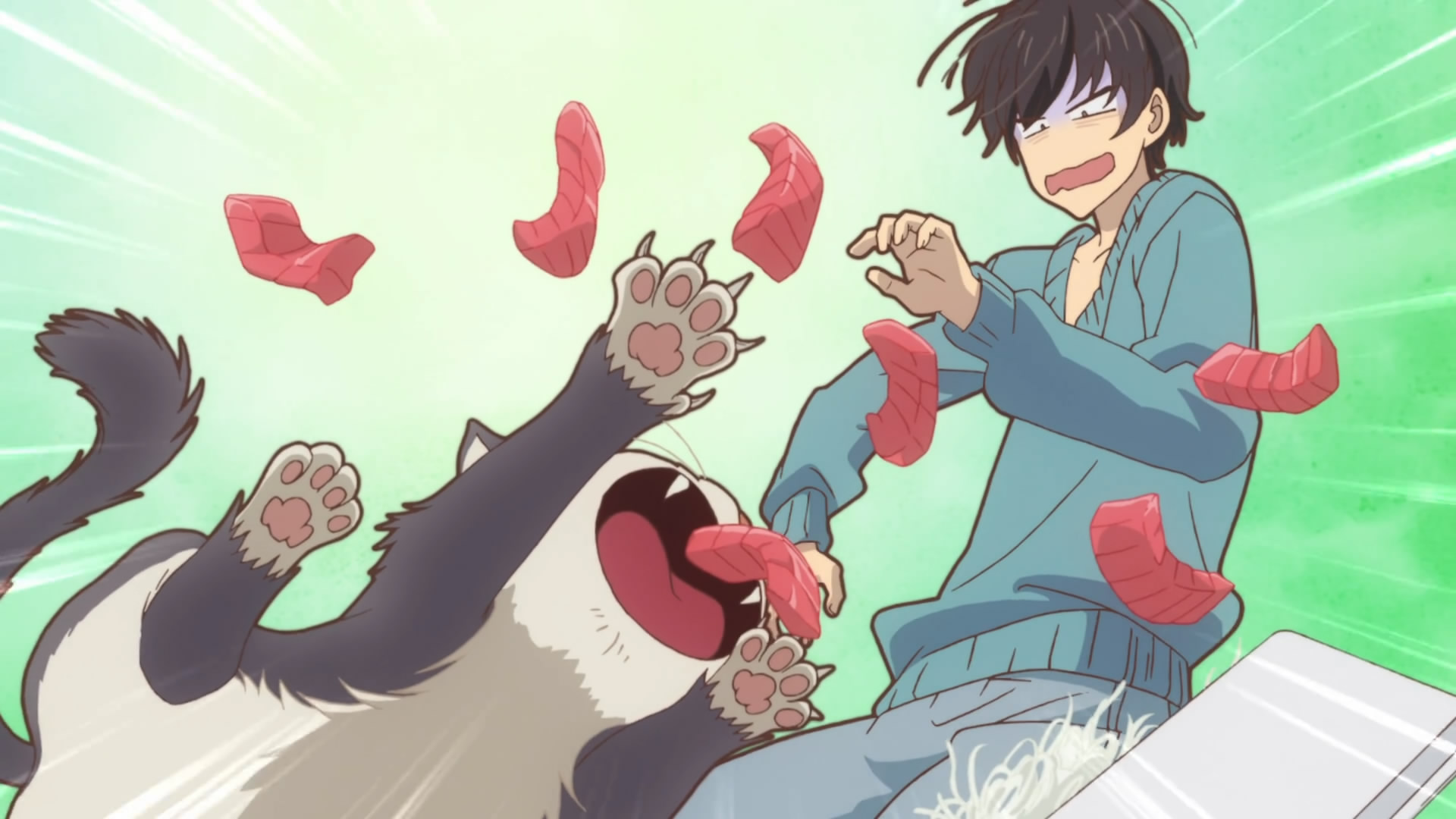 猫的报恩就是分猫粮?1月新番人猫cp,用一盒鱼罐头定情!