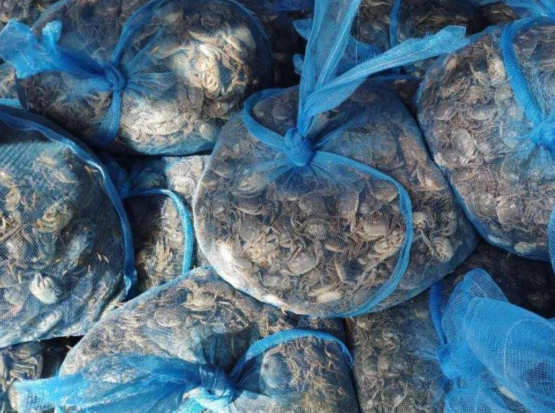 蟹苗- 热门商品专区