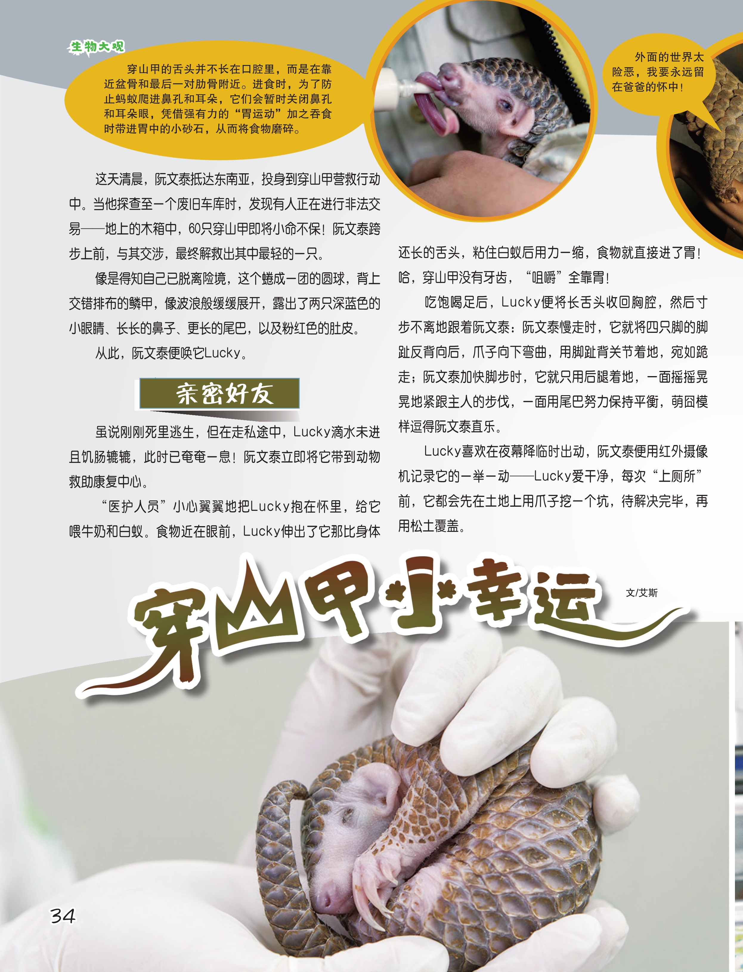 穿山甲小幸运
