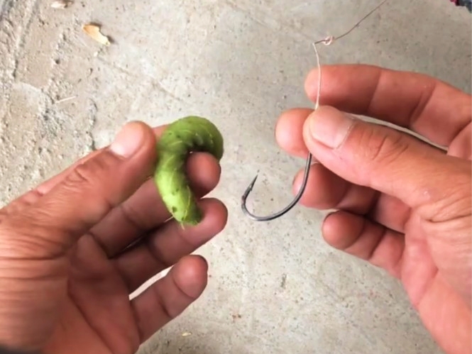 黄河钓鲶能手!90后小伙自创"拖钓法"擒获巨鲶