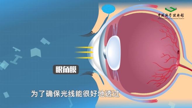 [图]人为什么要眨眼