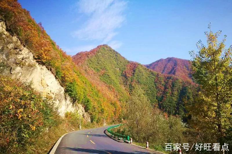 漢中這條公路獲