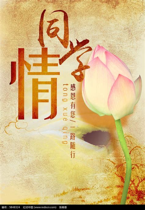 难忘同学情——高中毕业42周年