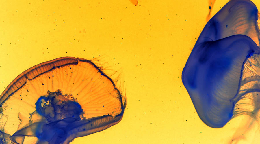 跌跌不休还是反弹上涨,2019年家电市场的信心与动力已经明确!-家电圈官网